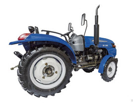 ������ ������ 244